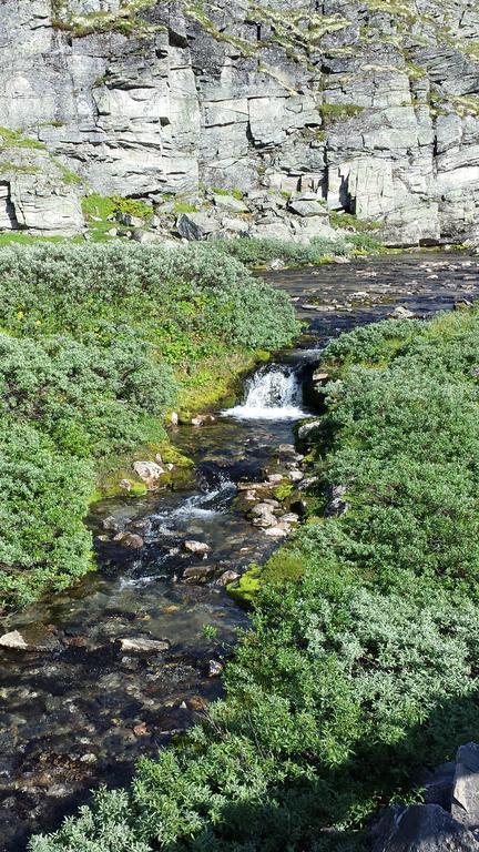 Djupvasshytta Bed & Breakfast Geiranger Buitenkant foto